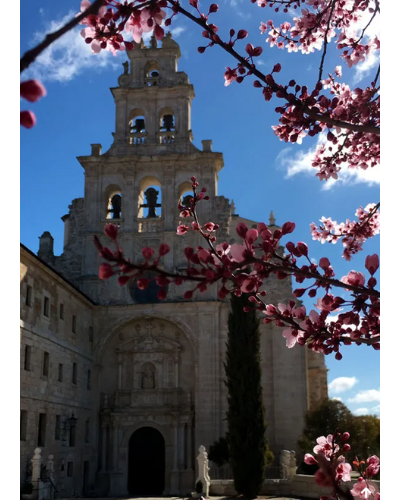 Asociación «Amigos del Monasterio de Santa María de La Vid»